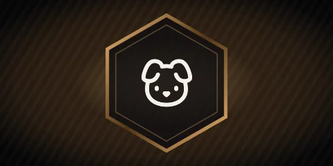 Companion dog