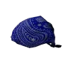 Blue Bandana