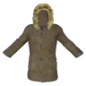 BrownWinterJacket