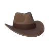 Cowboy Hat