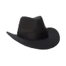Black Cowboy Hat