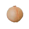 Onion